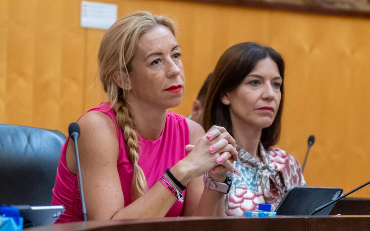 Ana Pellicer